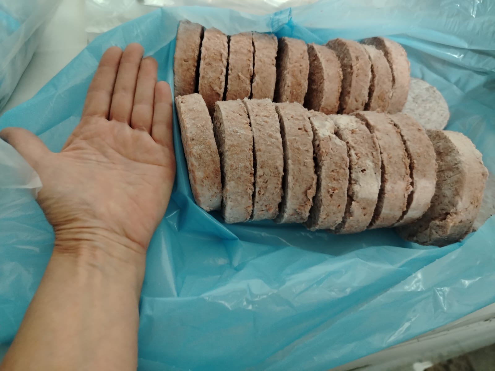 HAMBURGUESAS VEGANAS BEYON BURGER CON HEJSHER 113 GRS